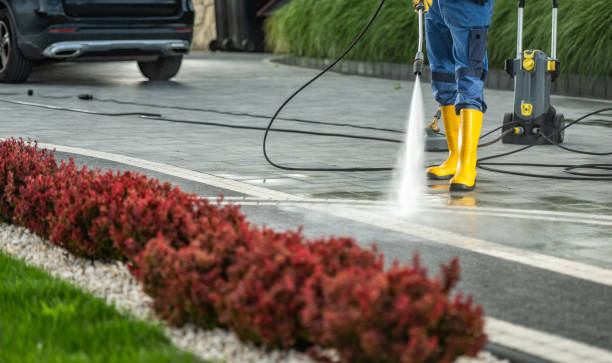 Best Sidewalk and Walkway Cleaning  in Green Cove Springs, FL